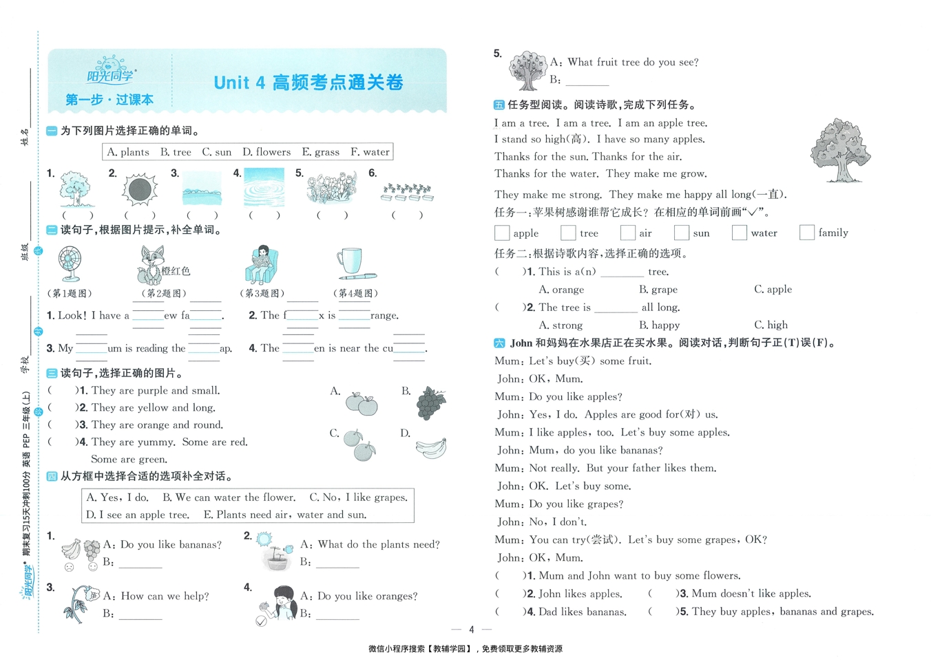 图片[6]-三年级上册（英语）阳光同学期末复习15天冲刺100分【电子版 可打印 含答案】（人教版）2025秋