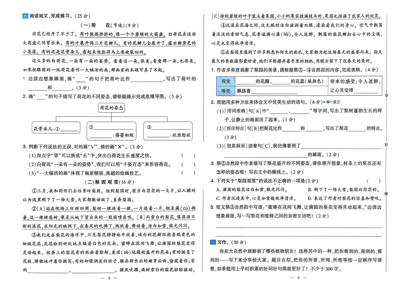 图片[4]-三年级下册（语文）学霸提优大试卷【电子版 可打印 含答案】（人教版）2026春