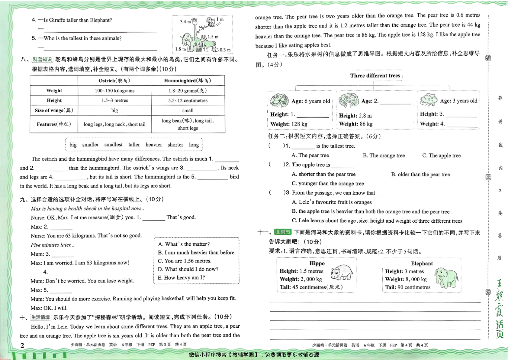 图片[2]-六年级下册（英语）王朝霞单元活页卷【电子版 可打印 含答案】（人教版）2026春